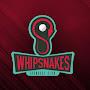 GoWhipsnakes