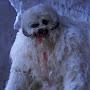 @SpaceWampa