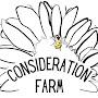Consideration Farm with Farmer Josh  