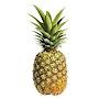 @guardianofpineapples751