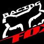 Racing Fox