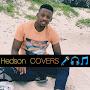 @hedsoncover