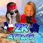ZK Attack
