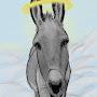 The holy Donkey ➐