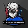 @CUPIDPROGAMING