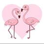 Flamingo_YT2021