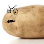 @unworthy.potato