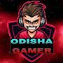 @Odisha-gamer.19