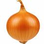 Onion