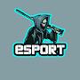 @noah16364esport