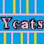 @YcatsVlogs