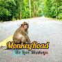 MonkeyRoad