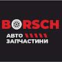 @Borsch-Auto