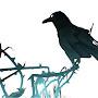Grim Corvus | Личный канал