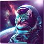 Astronat cat