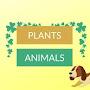 Plants&Animals