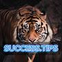 @Success-dot-tips