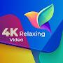 4K HD Video Relaxation & Education