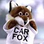 car fox
