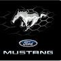 @MustangMike256