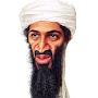 Osama BiN Lagging 36ty9