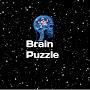 Brain Puzzle Game