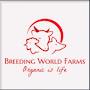 @breedingworldfarms6823