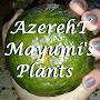 @azerehtmayumiplants2264