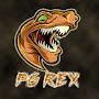 PG REX