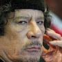 muamar al kaddafi