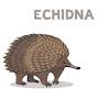 Echidna Spikes