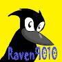 Raven9010th