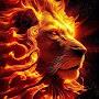 @Lion_ofJudah