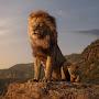 Король лев 🦁 👑