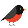 Robin Redbreast