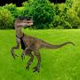 El Velociraptor Elegante