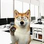 @nerd-shiba