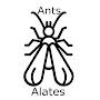 Ants Alates