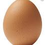 egg