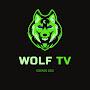 WOLF TV
