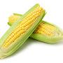 @corn_on_the_cob2731