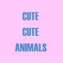 Cute Cute Animals