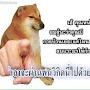 @Khunmhor_nueng