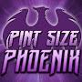 PintsizePhoenix