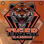 TIGER GAMING