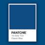 pantone 19-4052