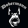 Dob Dobermann