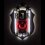 beşiktaş kartal