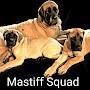 @englishmastiff7335