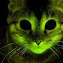 Зеленый Кот
